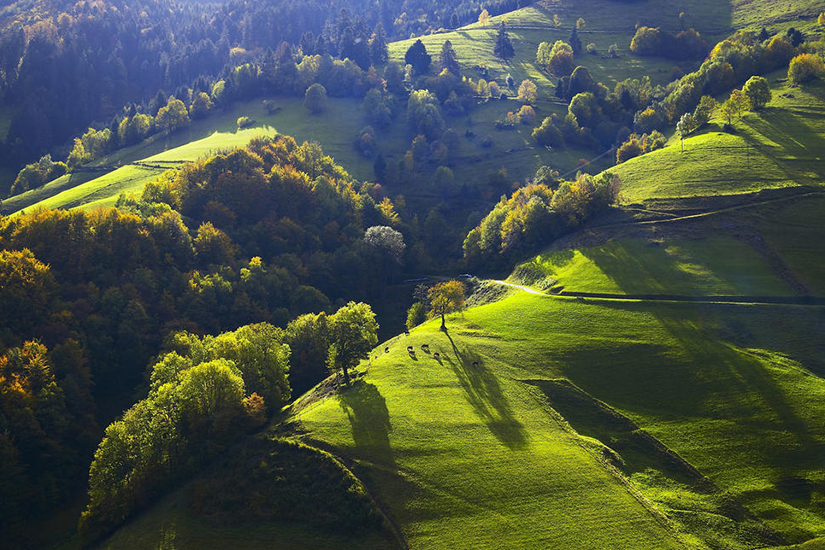image Allemagne Foret noire